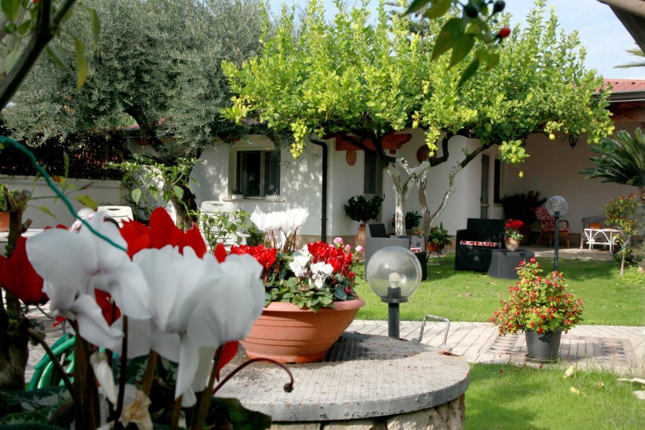 Villa Cecilia Bed And Breakfast Cellole Extérieur photo