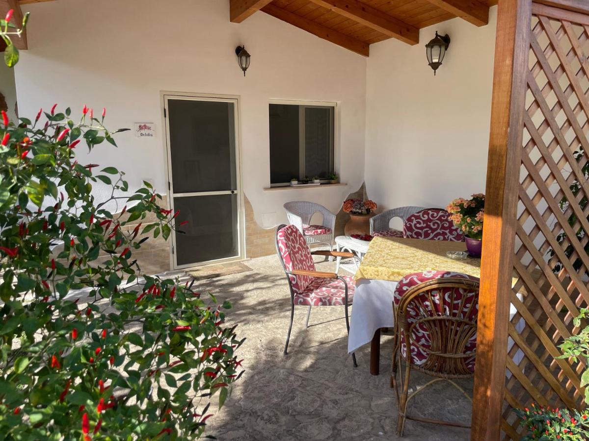 Villa Cecilia Bed And Breakfast Cellole Extérieur photo