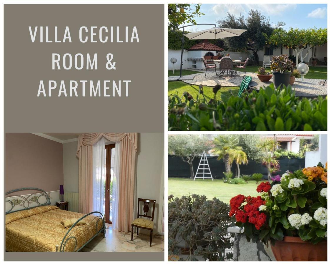 Villa Cecilia Bed And Breakfast Cellole Extérieur photo