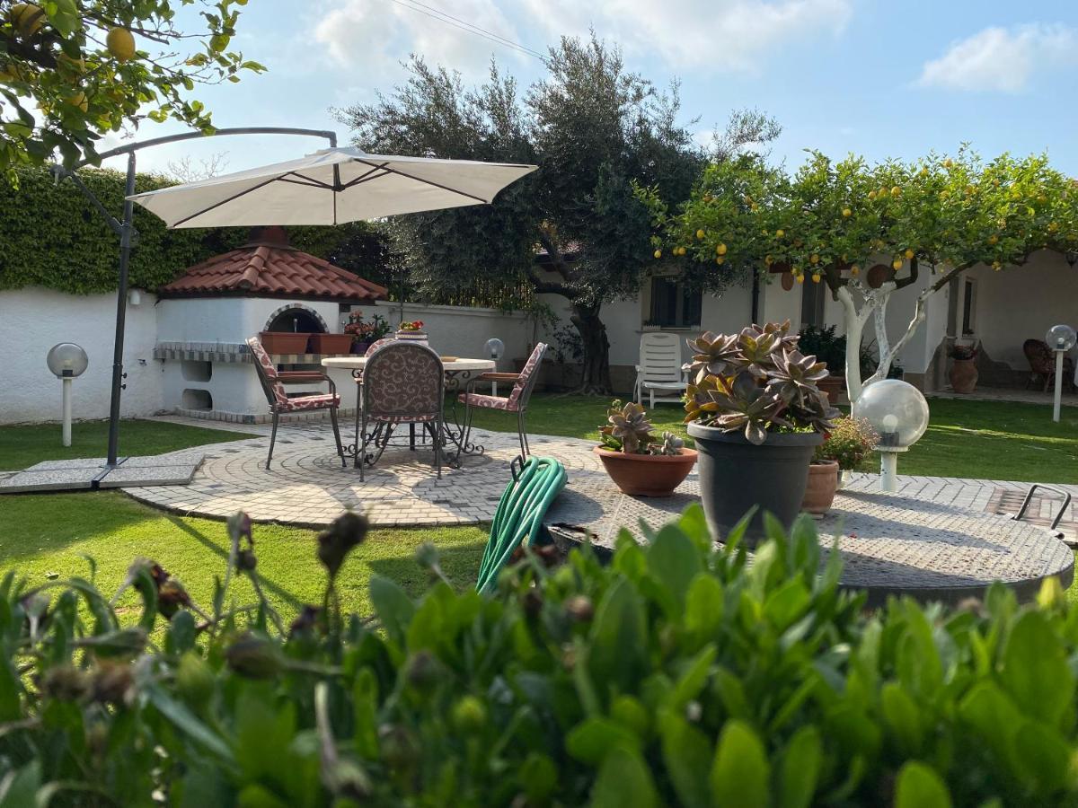 Villa Cecilia Bed And Breakfast Cellole Extérieur photo