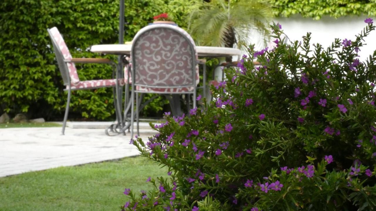 Villa Cecilia Bed And Breakfast Cellole Extérieur photo